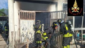 Incendio