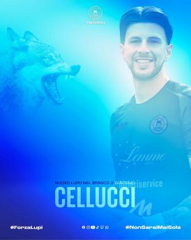 Cellucci