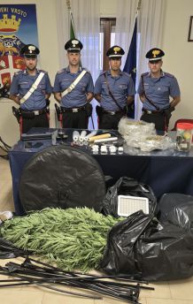 Arresti