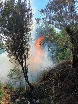 Incendio