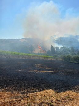 Incendio