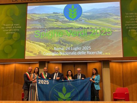 Spiga verde