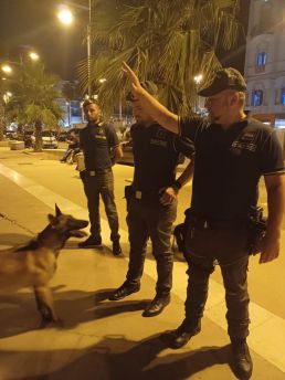 Unità cinofila cani guardia di finanza