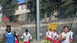 Virtus Cupello