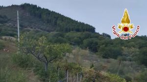 Incidente agricolo