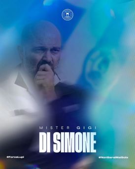 Gigi Di Simone