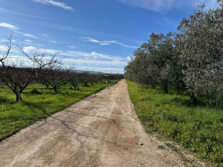 Strada rurale san salvo