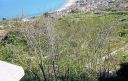 Incuria loggia amblingh