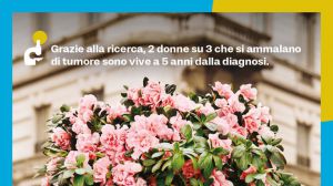 Azalea airc