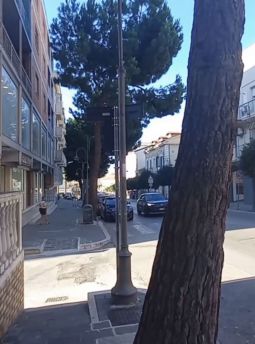 Pini corso garibaldi