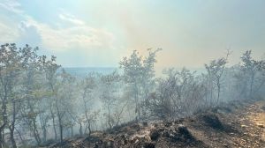 Incendio