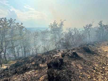Incendio
