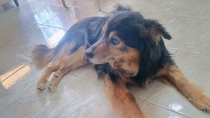 Teo