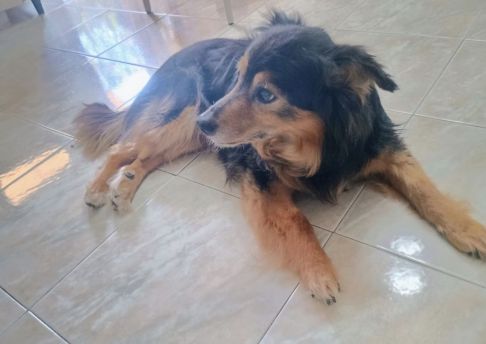 Teo