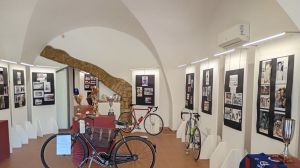 Mostra