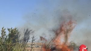 Incendio