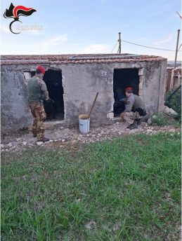 Cacciatori di Puglia