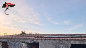Cacciatori di Puglia