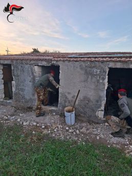 Cacciatori di Puglia