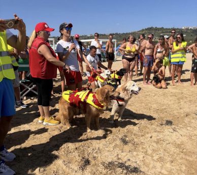 Cani da salvataggio