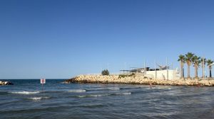Boe mare cala del golfo