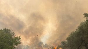 Incendio Carpineto Sinello