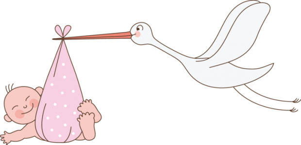Cicogna