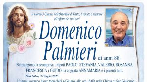 Domenico Palmieri 3/06/2025